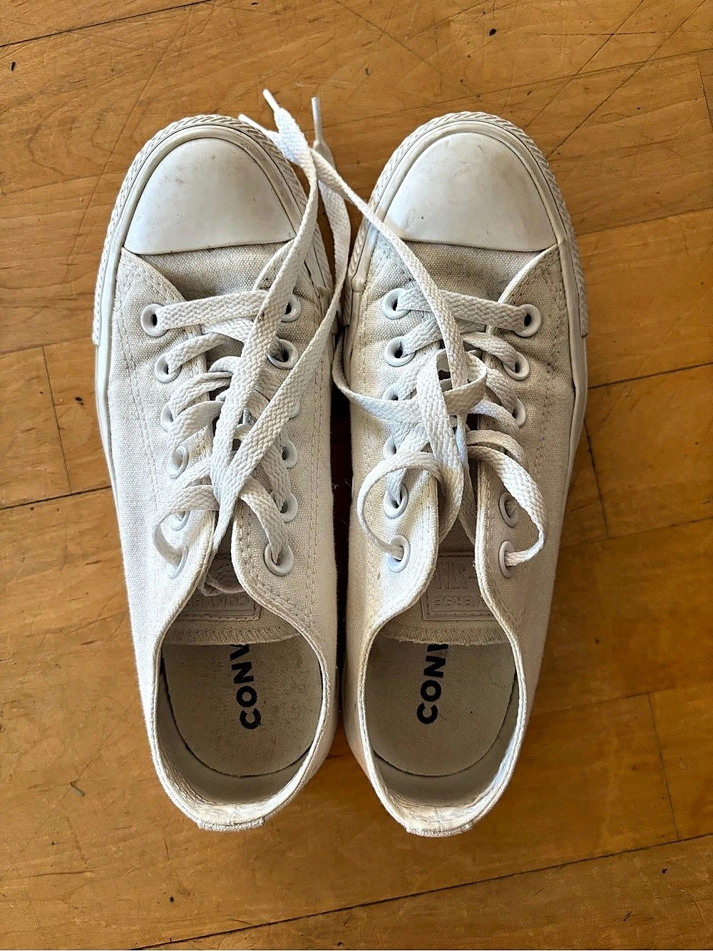 Converse Chuck Taylor All Star Low Top Sneakers in White
